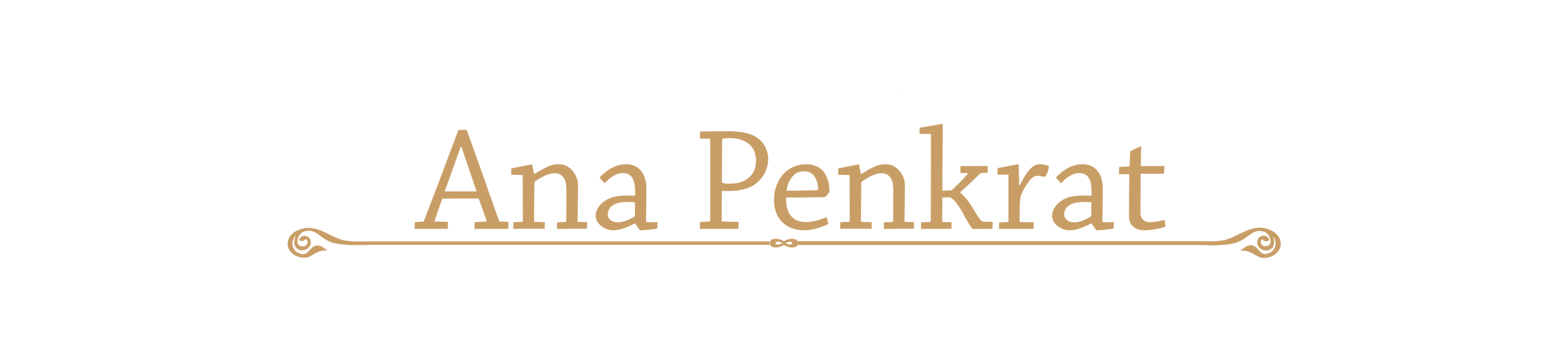 Widget Image