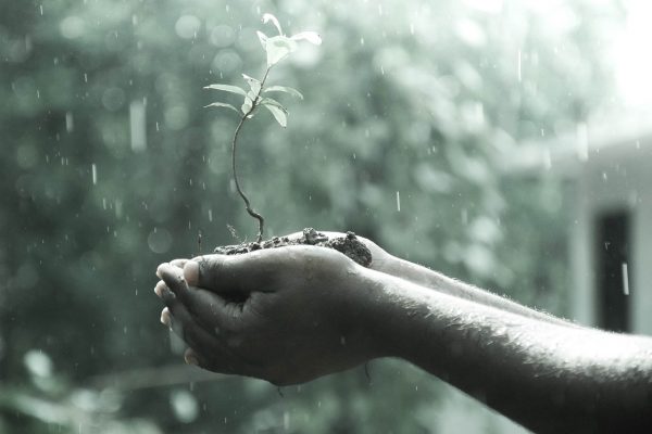 rain